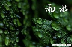 2024年雨水时间几点几分几秒钟 2024年雨水节气是哪一天