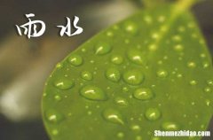 2024年雨水节气是几点 2024年雨水节气时间表