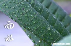 2024年雨水是什么时候 2024雨水节气怎么计算