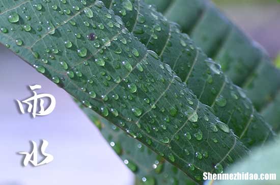 2024年雨水是什么时候 2024雨水节气怎么计算