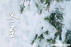2023年农历几号冬至 2023年冬至是买鱼的好日子吗