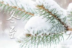 2023年冬至是几月几日 2023年冬至能伐木吗
