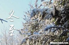 2023年冬至是几月几日 2023年冬至是修路吉日吗
