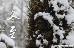 2023冬至是农历哪一天 2023年冬至入棺行不行