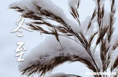 2023年冬至是什么时候 2023冬至回老家好吗
