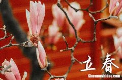 打春是什么意思 2024立春如何养生