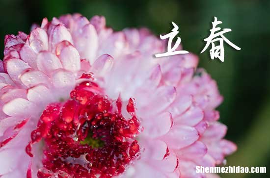 2024年龙年几点几分打春 立春几点结束