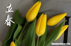 2024今年什么时间立春 今年打春几点几点几分