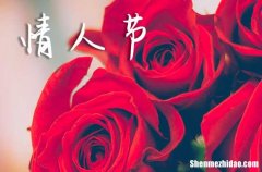 2024情人节是几月几日 2024年情人节日期是什么时候