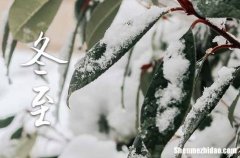 2023年冬至是哪一天 2023年冬至弄嫁娶好不好
