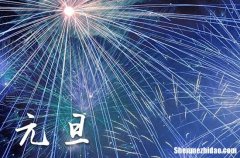 2024年1月1日元旦这天适合买鸭吗 2024年元旦是买鸭吉日吗