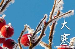 2024年大寒的准确时间 2024年大寒时间几点几分几秒