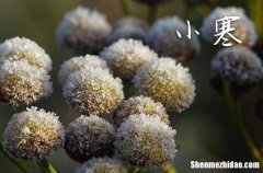 今日小寒几点几分 2024年小寒节气几点几分