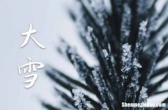 2023年12月7曰大雪是几点