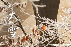 2023年大雪是几月几日