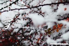 2023年小雪是几点几分几秒 2023年小雪入土行吗