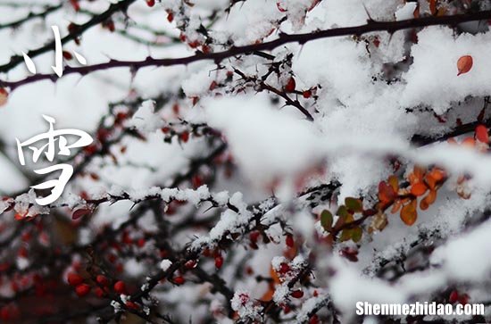 2023年小雪是几点几分几秒 2023年小雪入土行吗