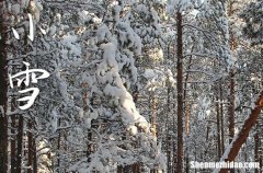2023小雪节气下雪什么征兆 二十四节气小雪会下雪吗