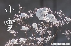 2023年农历几号小雪 2023年小雪乔迁新居吉祥吗