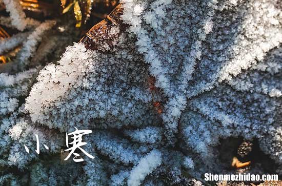 2024年小寒大寒具体时间