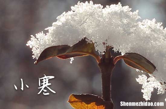 2024年1月6日小寒是几点几分