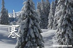 2024年小寒时间是哪一天