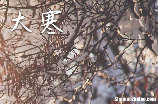 2024年大寒是几月几日几点几分