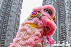 2023年12月12日开市好不好 能开市吗