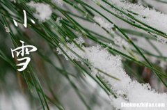 2023小雪是农历哪一天 2023年小雪弄定亲好不好