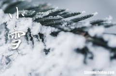 2023年小雪是哪一天 2023年小雪弄安床适合吗
