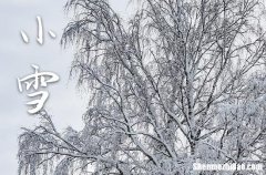 2023年今年小雪是几月几号 2023年小雪修坟吉利吗
