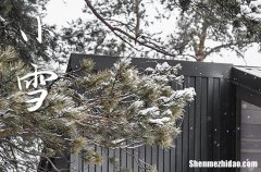 2023年农历几号小雪 2023年小雪弄入棺好不好
