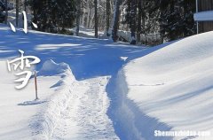 小雪2023年是几月几日星期几 2023年小雪可以入宅吗