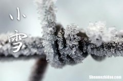 2023年小雪是什么时候时间 2023年小雪剖腹产行吗