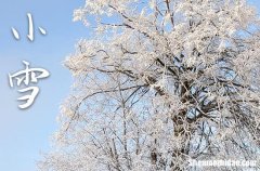 2023年小雪是什么时候时间 2023年小雪剃头可以吗