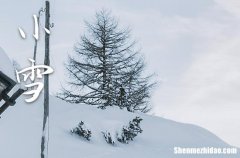 2023年什么时候小雪 2023年小雪安装大门门框行不行
