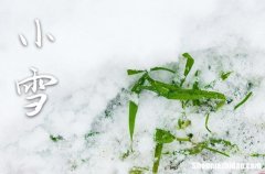 2023年农历几号小雪 2023年小雪安装门户吉祥吗