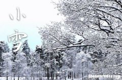 小雪是2023的几月几日 2023年小雪动土修造可以吗