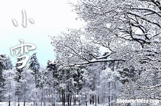 小雪是2023的几月几日 2023年小雪动土修造可以吗