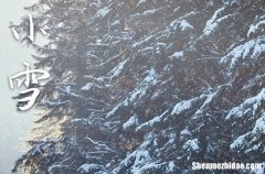 2023年什么时候小雪 2023年小雪嫁娶好不好