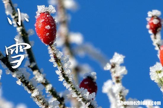 小雪是2023的几月几日 2023年小雪弄安置床铺适合吗