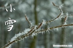 2023年小雪是几月几日 2023年小雪是入棺的好日子吗