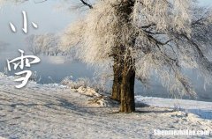 2023年小雪是什么时候时间 2023年小雪入土可以吗