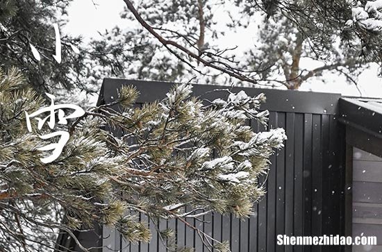 小雪是2023的几月几日 2023小雪举行成年礼好吗