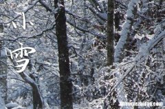 小雪是几月几号2023年 2023年小雪弄结婚领证好不好