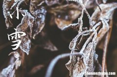2023年小雪是几点几分几秒 2023年小雪能安门吗