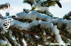 2023小雪是农历哪一天 2023年小雪能安装机器吗