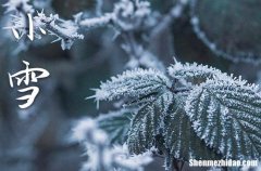 2023小雪是农历哪一天 2023年小雪修坟行不行