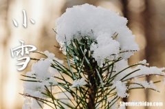 2023年小雪是几月几日 2023年小雪入土行吗