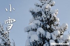 小雪是2023的几月几日 2023年小雪是举办成人仪式的好日子吗